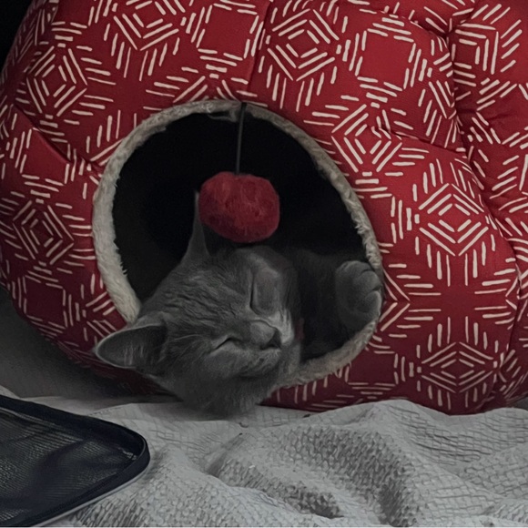 LIKE THIS FLIER TO BE NOTIFIED! GALATEA921 LIVE! YOU KNEW YOU COULDN’T WAIT - Picture 14 of 17